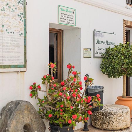 Casa De La Montana Apartments Sayalonga Kültér fotó